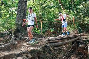 BIB: 
                            <button type="button" onclick="openModal(27557344)" class="btn btn-primary btn-sm float-right btn-popup" data-toggle="modal" data-target=".modal-high-quality">
                        <i class="fas fa-shopping-cart"></i> Add to Cart
                    </button>
                                            <button type="button" onclick="isThisMe(27557344, true)" class="btn btn-success btn-sm float-right btn-popup btn-isme hidden" data-toggle="tooltip" data-placement="bottom" title="นี่คือรูปของคุณใช่ไหม คลิกที่นี่เพื่อเอาเข้าอัลบั้ม">
                        <i class="fas fa-plus"></i> Add to album
                    </button>
                    <button type="button" onclick="isThisMe(27557344, false)" class="btn btn-warning btn-sm float-right btn-popup btn-isnotme hidden">
                        <i class="fas fa-ban"></i> Remove from album
                    </button>